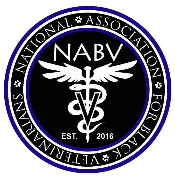 merch.nabvonline.org